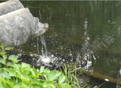 Прекращение пользования водным объектом