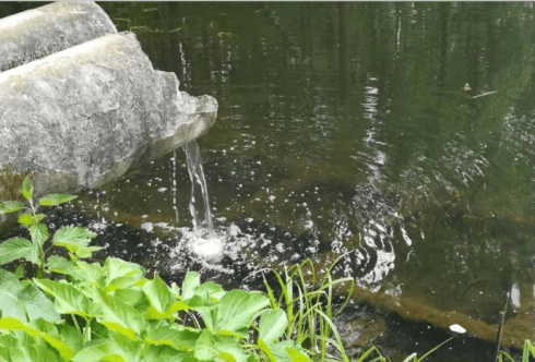 Прекращение пользования водным объектом